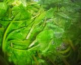 A picture of step 1 of Rani Palak Paneer.