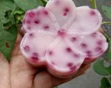 Foto langkah ke 3 dari resep Jentik manis.