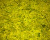 A picture of step 1 of Green spinach patties with Broccoli almond soup.
