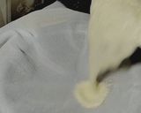 Foto langkah ke 7 dari resep Single Serve No Bake : LeBlu Cheesecake.