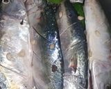 Foto langkah ke 1 dari resep Ikan Kembung Bakar kecap.
