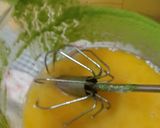 Foto langkah ke 7 dari resep Tape Singkong isi Sarikaya Pandan Suji.
