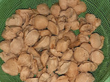 50. Proteina Masak Merah