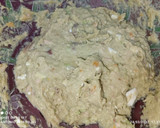 Foto del paso 2 de la receta: Hojas y tallos de acelgas rellenos