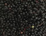 Foto del paso 2 de la receta: Mermelada de saúco
