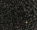 Foto del paso 2 de la receta: Mermelada de saúco