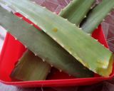 Foto langkah ke 1 dari resep Minuman segaarr aloe vera.