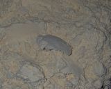 A picture of step 2 of Pyaaj k pakode.
