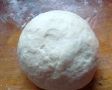 Foto del paso 1 de la receta: Agnolotis gigantes