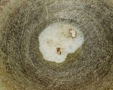 A picture of step 1 of Gujarati thali (Dinner thali).