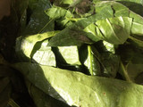 Tallarines de espinaca caseros
