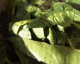 Foto del paso 1 de la receta: Tallarines de espinaca caseros