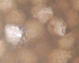 Foto langkah ke 4 dari resep * Pentol Bakso *.