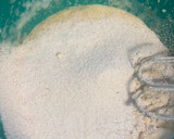 Foto del paso 2 de la receta: Panteras rosas caseros