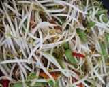Foto langkah ke 5 dari resep Tumis Tauge.