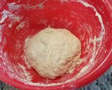 A picture of step 6 of Pizza Napoletana Dough.