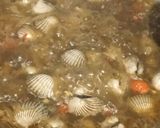 Foto langkah ke 3 dari resep Kerang dara saos lada hitam.