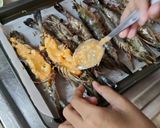 Foto langkah ke 5 dari resep Udang Saus Mayo Keju.