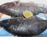Foto langkah ke 1 dari resep Pesmol ikan mujaer / nila.
