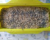 Foto del paso 4 de la receta Pan de semillas (sin harinas)