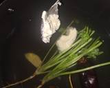 Italian Corn Chaat recipe step 1 photo