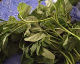 Foto langkah ke 1 dari resep Sayur Bayam.