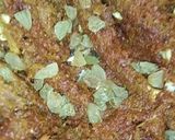 गाजर का हलवा (Gajar ka Halwa recipe in Hindi) रेसिपी चरण 7 फोटो
