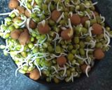 स्प्राउट फलाफल (Sprout Falafel recipe in Hindi) रेसिपी चरण 2 फोटो
