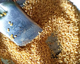 রুই মাছের মাথার মুড়িঘন্ট রেসিপির ধাপ 1 ছবি