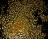 लाल मिर्च का ठेसा रेसिपी चरण 3 फोटो