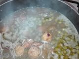 جلبانة بكريات الدجاج