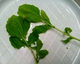 Foto langkah ke 1 dari resep Salad Sayur.