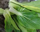 Resipi Mee Kari Ketam Oleh Nur Hani Yahaya Cookpad