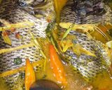 Foto langkah ke 4 dari resep Ikan Masak Woku#CABEKU #FestivalRamadanCookpad.
