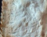 Foto del paso 4 de la receta: Tarta de espinaca