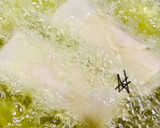 A picture of step 2 of Chicken spring roll wrappers.