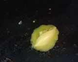 Foto langkah ke 1 dari resep 05 Telur orak arik.