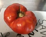 Une image de l'étape 8 de Duo d'aubergines, tomate et gingembre.