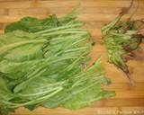 Persian Sauteed Spinach with garlic yogurt dip (بورانی اسفناج با ماست سیر دار) recipe step 1 photo