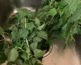 A picture of step 6 of TE Mana Lamb Roulade.