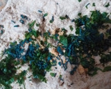Foto del paso 5 de la receta: Pan con masa madre, alga espirulina, perejil, ajo y queso