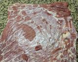 Foto del paso 1 de la receta: Matambre de carne