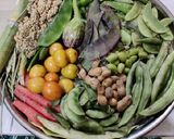 संक्रांत स्पेशल भोगीची भाजी (bhogichi bhaji recipe in marathi) रेसिपी स्टेप 1 फोटो