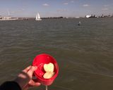 A picture of step 3 of Seven Seas Cheese filled Apples.