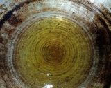 Foto langkah ke 6 dari resep Dendeng sapi kelapa.