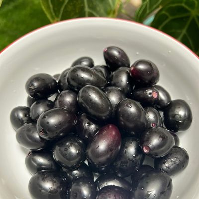 Langkah 1