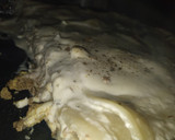 Foto del paso 10 de la receta: Lasaña con salsa blanca