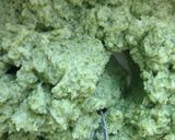Foto del paso 2 de la receta: Croquetas de brócoli, avena y chía