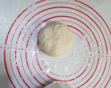 Foto langkah ke 3 dari resep Kulit dimsum / gyoza / kuotie / pangsit ala fe.