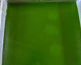 Foto langkah ke 12 dari resep Lapis Tenun Tepung Ketan.